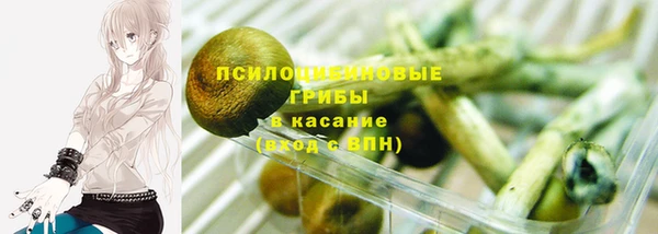 бошки Алзамай