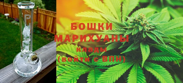 PSILOCYBIN Алексин