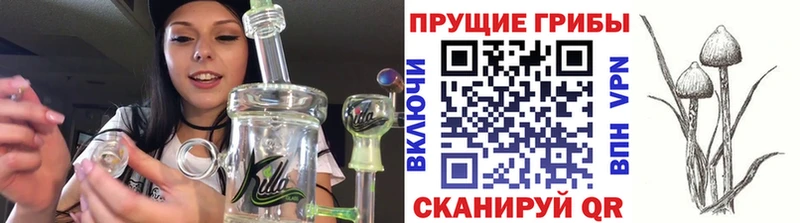 Галлюциногенные грибы мухоморы  купить наркотик  Черкесск 