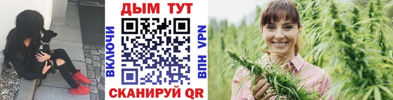 Бошки Шишки VHQ  мега как войти  Черкесск 